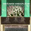 Brezinski Elevated Planter