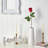 Rose Arrangement-623892847-623892844