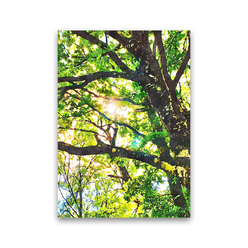 Sun Through Green Leaves - Print on Canvas, 42cm H x 30cm W x 1cm D, Unframed