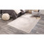 Oriental Area Rug-1654687552