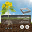Brebner Metal Planter Box-737567810