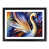 Black Framed selected