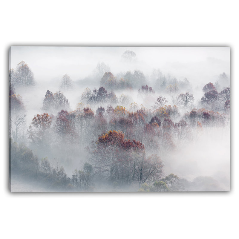 Art sur toile Misty Autumn Woodland