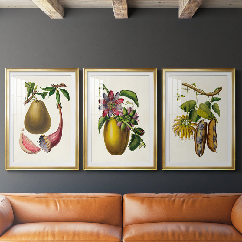 Fruit of the Tropics I - reproduction sur mesure encadrée de qualité supérieure - 3 pièces, Noir, H 21 po x l 30 po