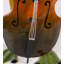 Frog Musician