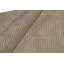 Striped Area Rug in Beige