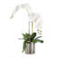Real Touch Orchid Centerpiece in Pot