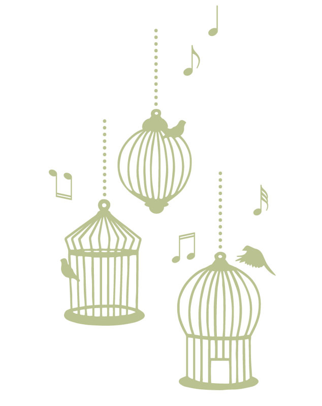 Décalcomanie murale cages d’oiseaux de chanson, H 37 po x l 22 po x P 0,01 po, Céladon