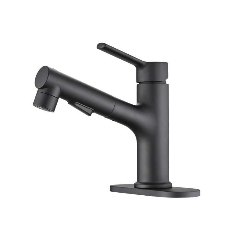 Single Handle Stainless Steel Bathroom Sink Faucet with Pull-Out Sprayer, Matte Black