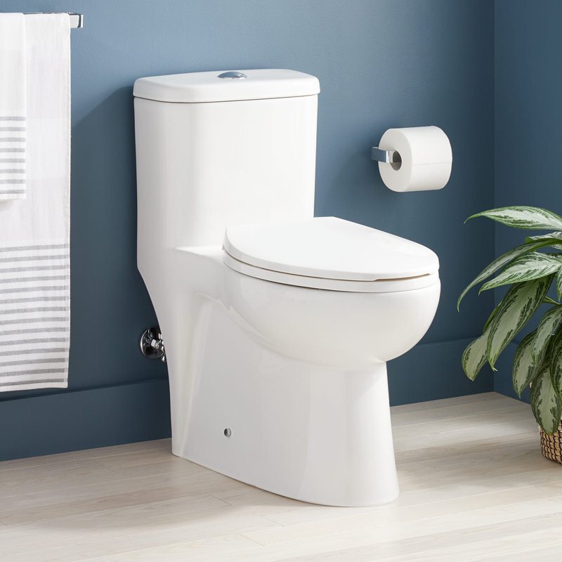 Toilette allongée une pièce Alledonia