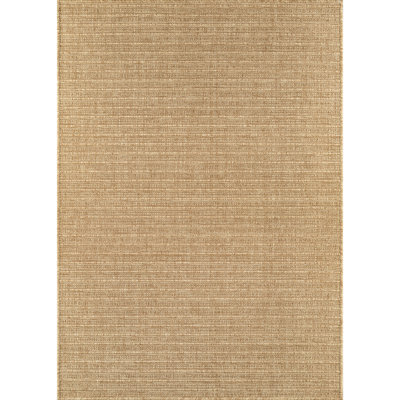 Indoor Outdoor Area Rug