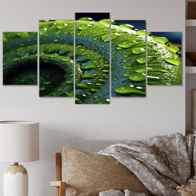Spiral Fern Covered With Dew Drops I - Ferns Canvas Print - 5 Panels