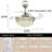 Dwayne-James 42'' Ceiling Fan with LED Lights