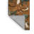 Washable Small Wild Cats Big Cats Area Rug-1269119099