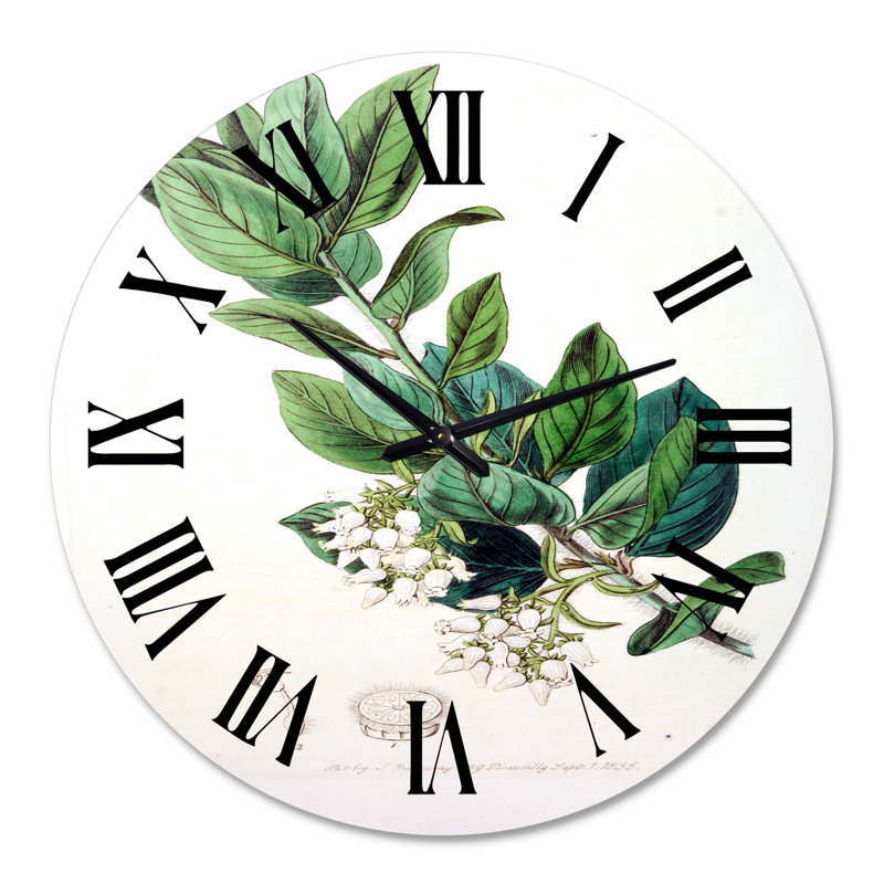 Vintage Botanicals XX - Horloge murale traditionnelle, Moyenne