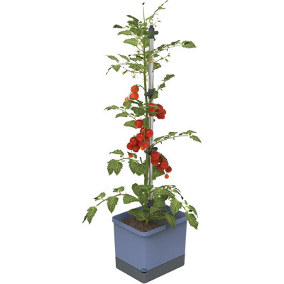 Tom Tomato Tomato Planter Pot, Climbing Aid, Plant Clips, Self-Watering, 4.5L Water Tank, 20L Soil