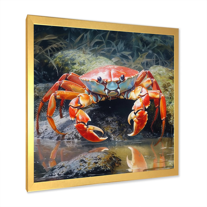 Crab Beachcombers III sur impression sur toile, H 24 po x l 24 po x P 1 po, Cadre doré à une seule photo