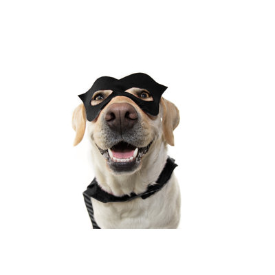 Dog Super Hero by Smrm1977 - Wrapped Canvas Print