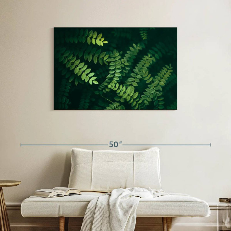 Feuilles d'acacia Harnek, H 26 po x l 39 po