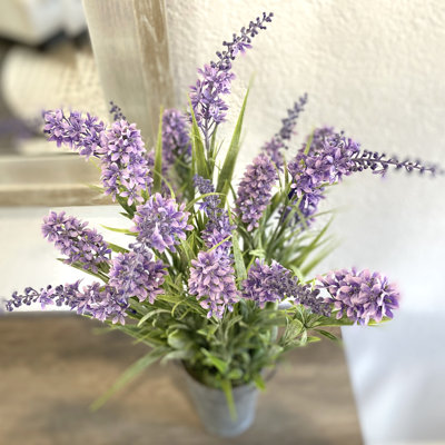 Arrangement floral orchidées dans un pot