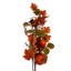  Autumn Spray
