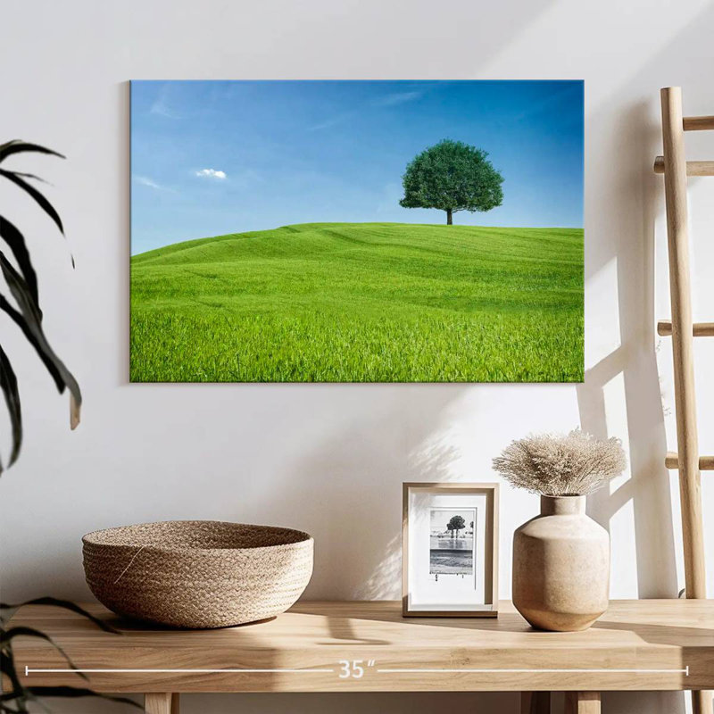 Colline et arbre toscan Alvord, H 16 po x l 24 po