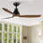 52 inch indoor black ceiling fan with LED light