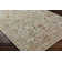 Jiesha Oriental Indoor Rug