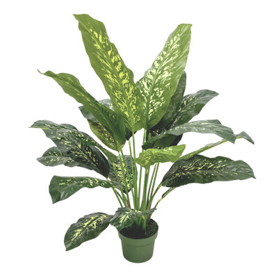 Faux plante de sol Dieffenbachia