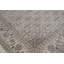 Oriental Area Rug in Ivory