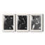 Night Bloom I - ensemble de 3 cadres photo-1666492309-1666492307