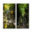 Emerald Excasion - ensemble de 2 impressions sur bicyclette-511261270