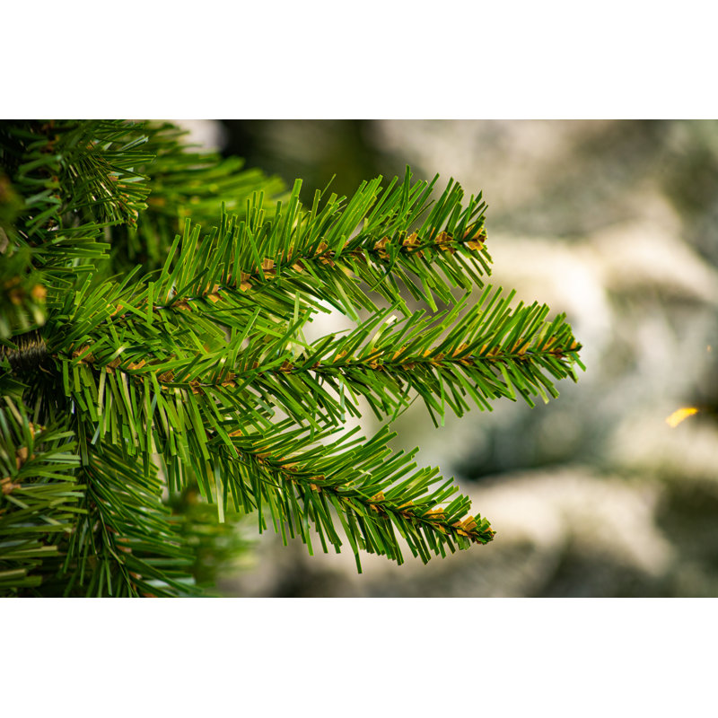 4ft Kingswood Fir Pencil Tree