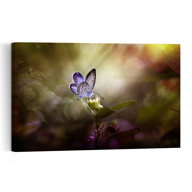 Papillon violet rêveur, papillon délicat, serein et vibrant, nature, plante, impression d'art mural, 16" H x 24" W