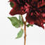 DAHLIA STEM 28"-877213543
