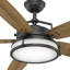 56" Caneel Bay 5 - Blade Standard Ceiling Fan with Wall Control and Light Kit Included-967705270