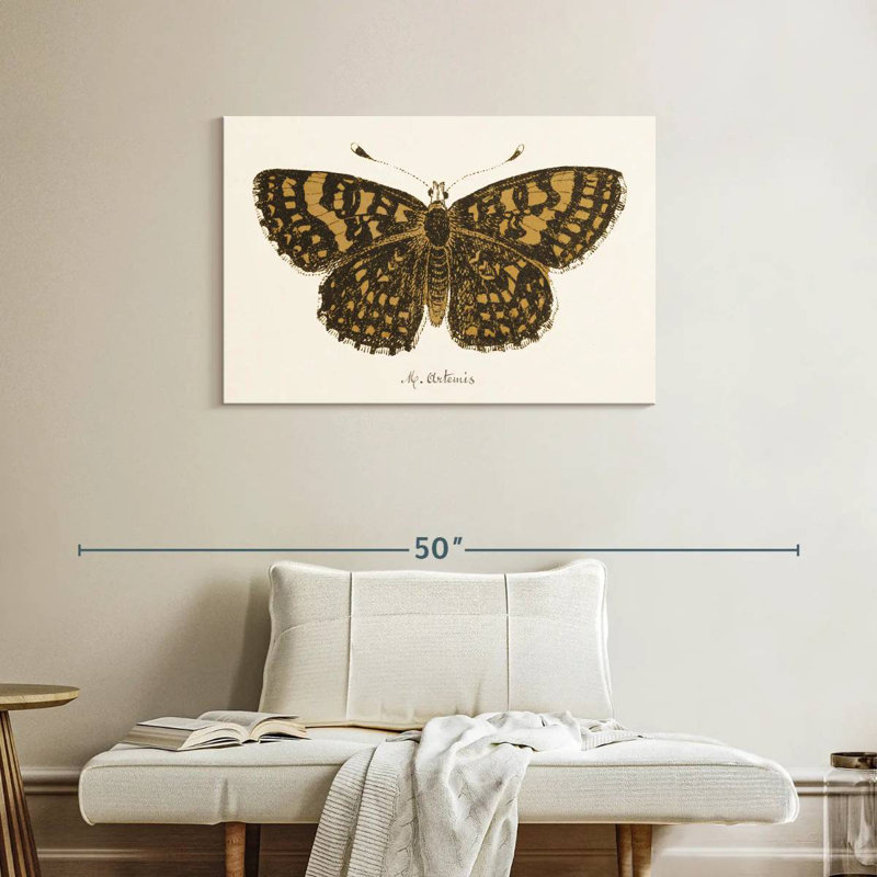 Papillon antique II, H 24 po x l 36 po