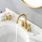 2-handle Bathroom Faucet with Drain Assembly