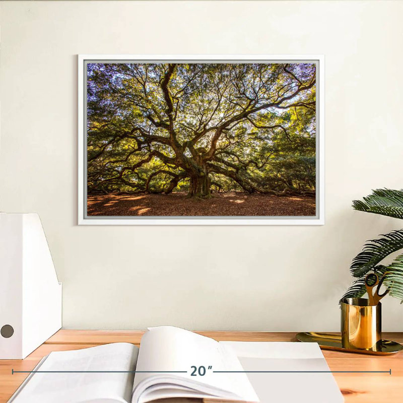 Chêne ange noueux, Cadre flottant blanc, 13 po x 9 po