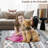 Vintage Patchwork Rug Washable Grey Hallway Non Slip Geometric Carpet Stain Resistant Tribal Soft Mat Low Pile Foldable-333466599