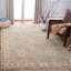 Oriental Hand-Knotted Light Grey / Beige Area Rug-1689652110