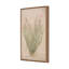 Ocotillo by Paul Meyer-201348223