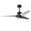 LED Downrod Ceiling Fan