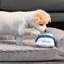  Lit pour animal de compagnie, petit-1109490163