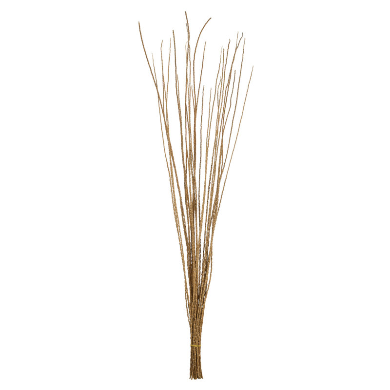 36'' Plant