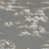 Taupe Gray