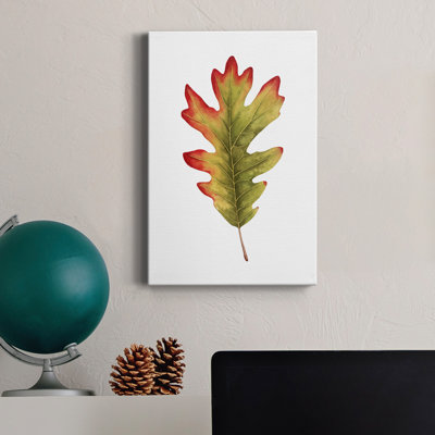 " Fall Leaf Study II "