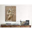 Statue de césar jules-statue-reproduction de photo sur toile-2024429990