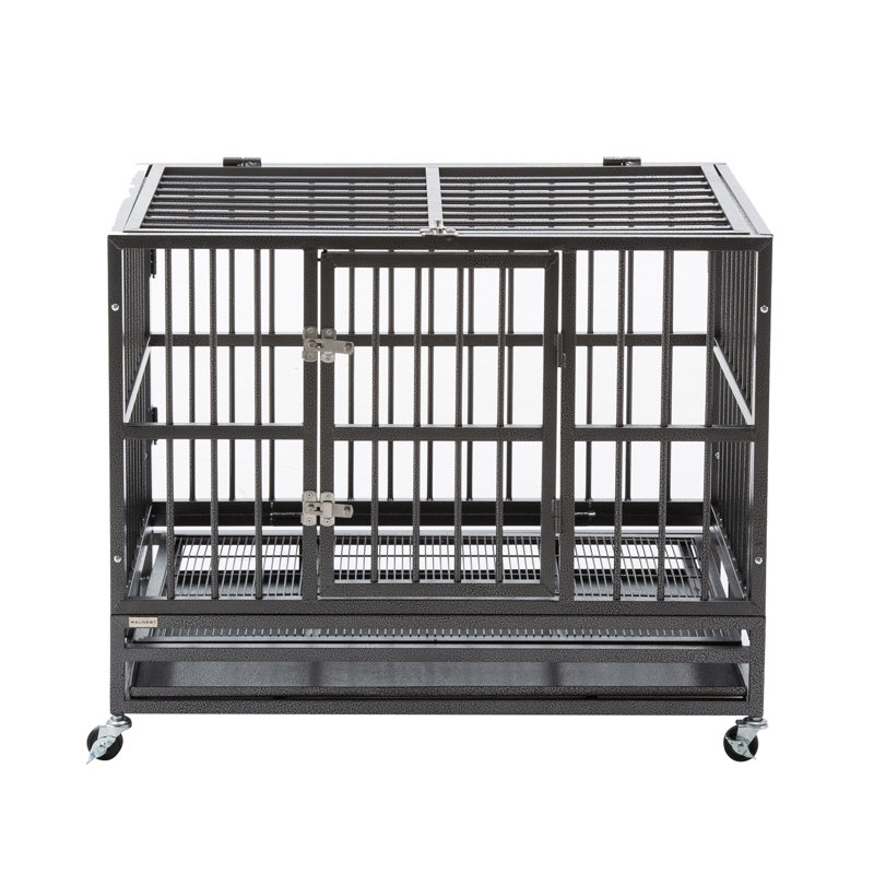 Caisse pour animaux Parente, H 29 po x l 24 po x P 37 po