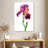 Harnek Lovely Iris Flower-108442926